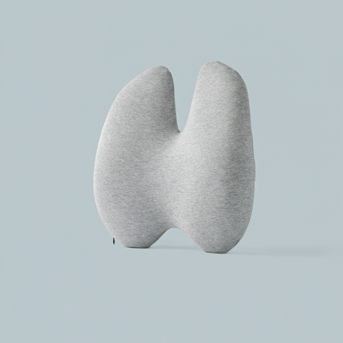 Reliv+ Align Backrest
