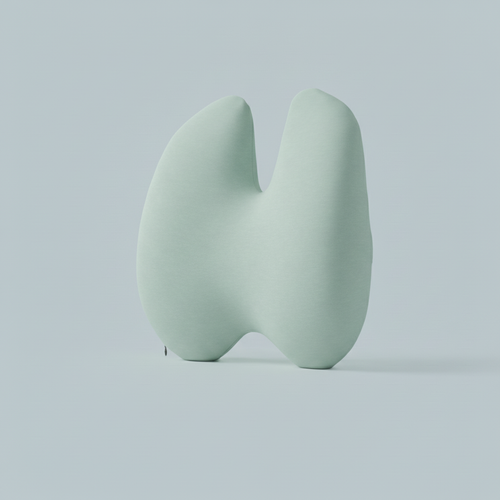 Reliv+ Align Backrest
